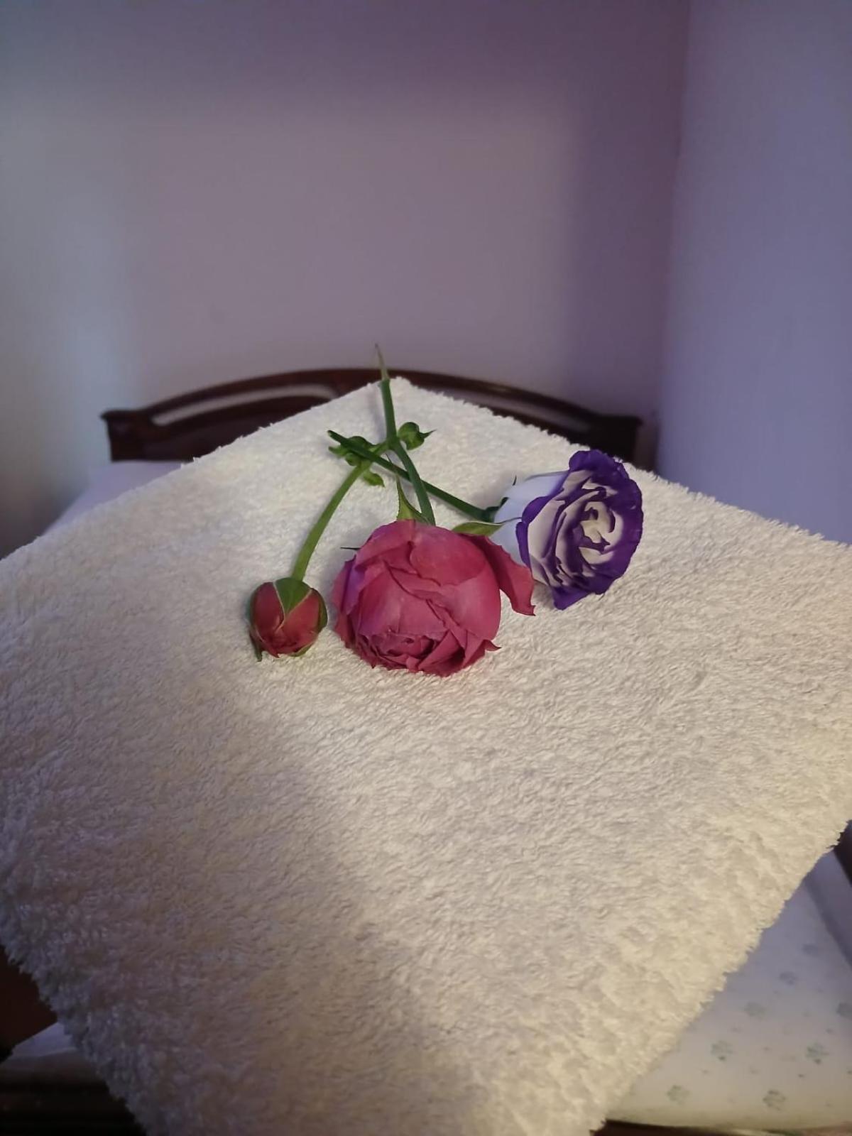 Bliss - Simple Comfort, Pure Relaxation Apartment *